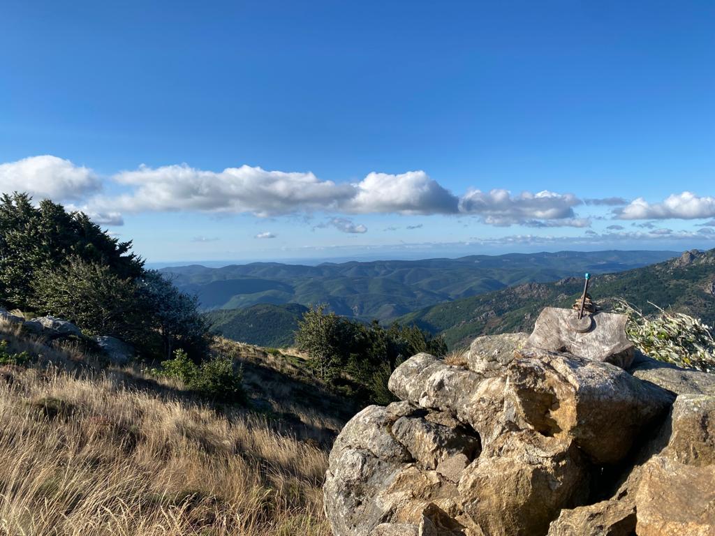 FLORA FEMINAE, production et transformation de plantes utilisées pour soulager les troubles féminins | Haut Languedoc