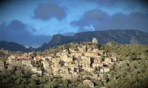 FLORA FEMINAE, production et transformation de plantes utilisées pour soulager les troubles féminins | Palmira PICANT