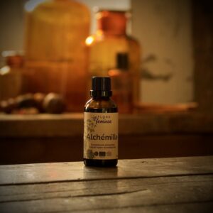 Alchémille