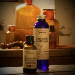 Camomille matricaire