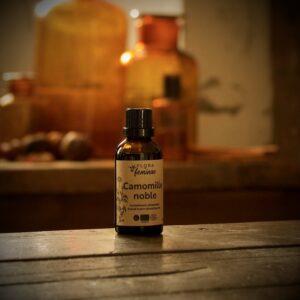 Camomille noble