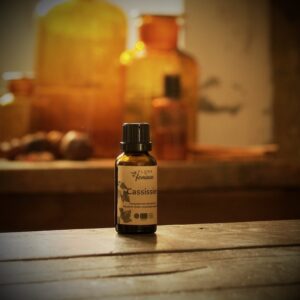 Bourgeon de Cassissier