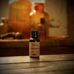 Bourgeon de châtaignier