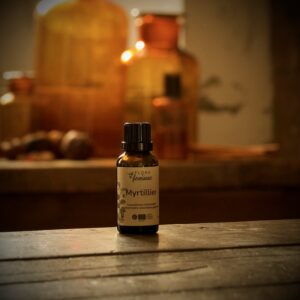 Bourgeon de Myrtillier