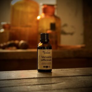 Verveine officinale